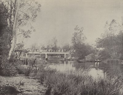 Undercliffe Bridge, Cooks River by English Photographer