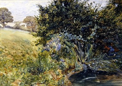 A Shady Stream by English School
