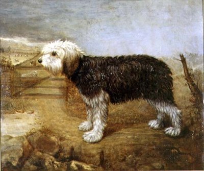 A Sheepdog, Fields Beyond by English School