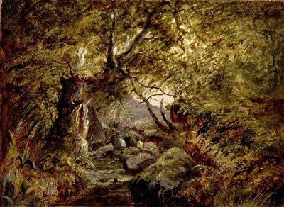 A Woodland Stream by English School