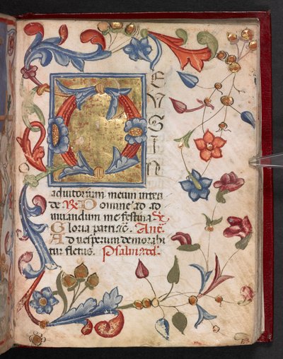 Add. 17466, f.141r by English School