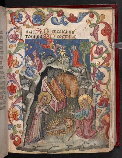 The Nativity by English School