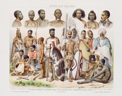 African Races by English School