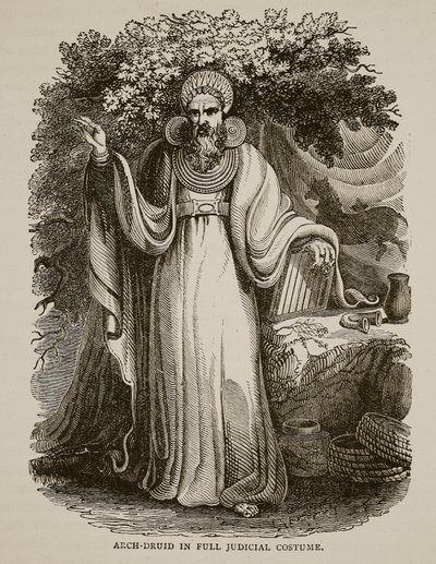Arch-Druid in full Judicial Costume by English School