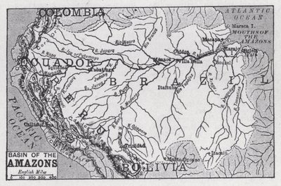 Basin of the Amazons by English School