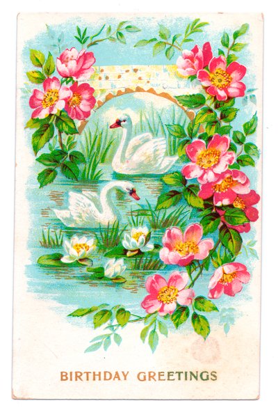 Birthday Postcard by English School