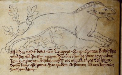 Leucrota, from Bestiary (CCA-LitMs/D/10 fol. 3v) by English School