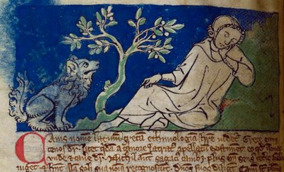 Dog, from Bestiary by English School