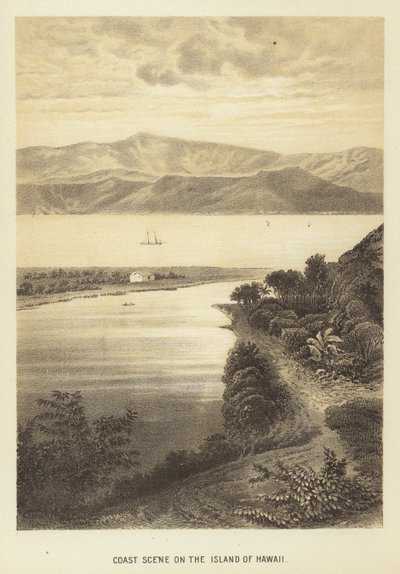 Coast scene on the Island of Hawaii by English School