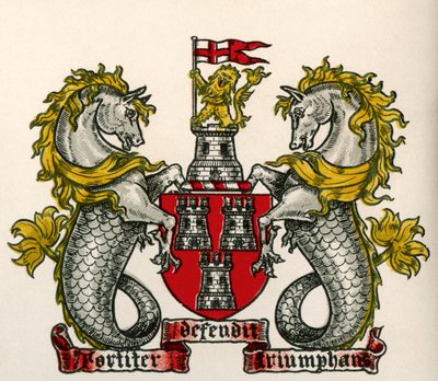 Coat of Arms, Newcastle-on-Tyne, England by English School