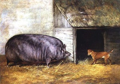 Confrontation by English School