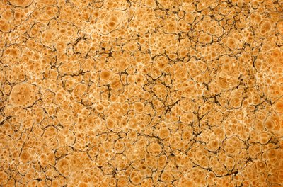 Decorative End Paper by English School