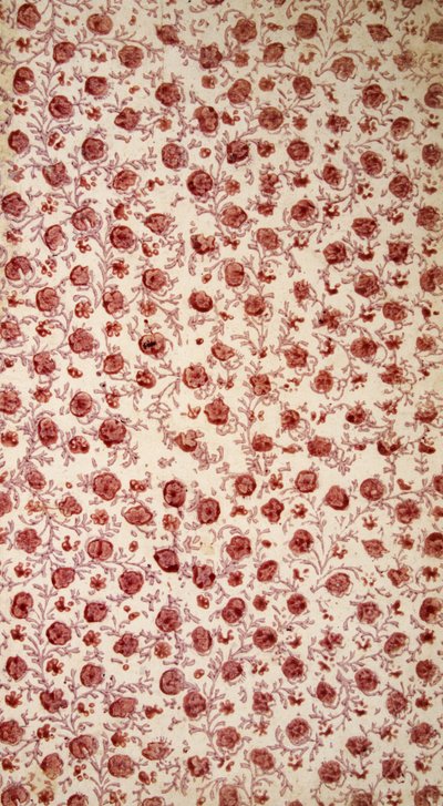 Floral Endpaper (Hand Coloured Engraving) by English School