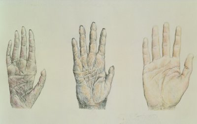 Hands of a primate and a human by English School