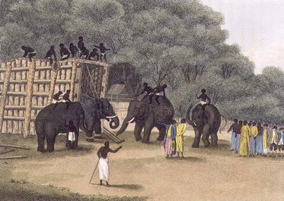 Hindoo Elephant Trap, Pub. by Edward Orme by English School