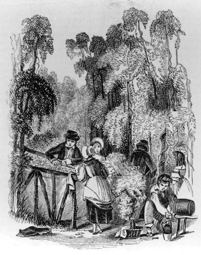 Hop Picking by English School