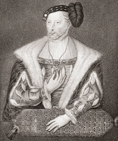 James V, King of Scots by English School