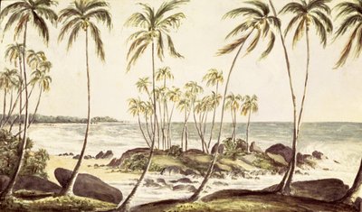 Kosgoda Beach, Ceylon, c.1835 by English School