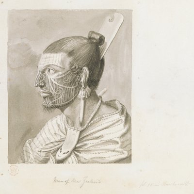 Man of New Zealand by English School