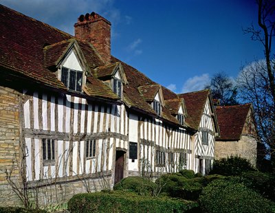 Mary Arden