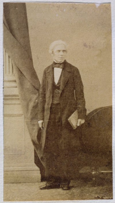 Michael Faraday (1791-1867) by English School