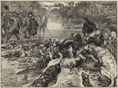 Otter hunting in the north by English School