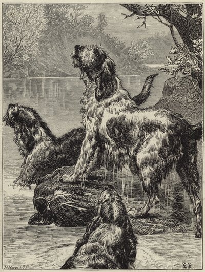 Otter hunting in the north by English School