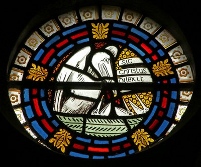 Pelican Feeding Her Young by English School