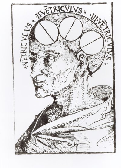 Phrenology by English School