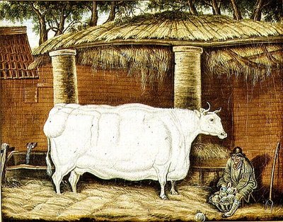Primitive Ox by English School