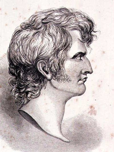 Sir William Francis Patrick Napier by English School