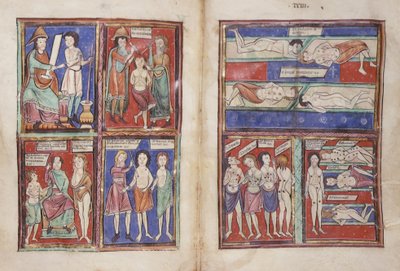 Medical scenes, Sloane 1975 fol.91v-92 by English School