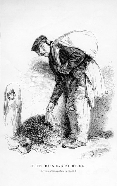 The Bone-Grubber by English School