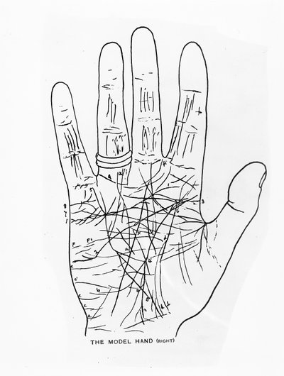 The Model Hand (Right) by English School