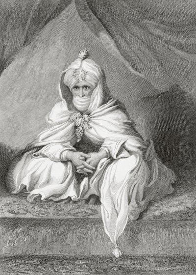 The Sheik of Bornu, 1826 by English School