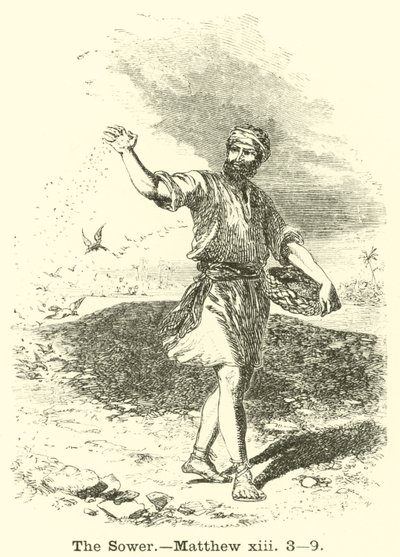 The Sower by English School