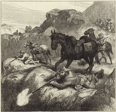 The War in the Transvaal by English School