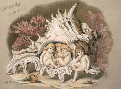 The water babies by English School