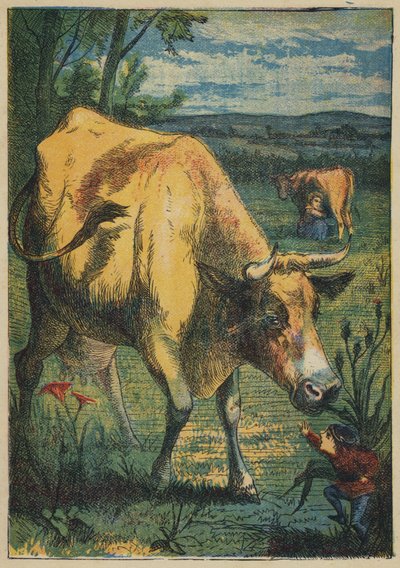 Tom Thumb and the Cow by English School