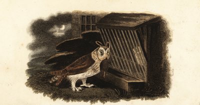 Unknown Image by English School