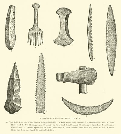 Weapons and Tools of Primitive Man by English School