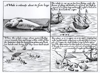 Whaling at Spitzbergen in 1611 by English School
