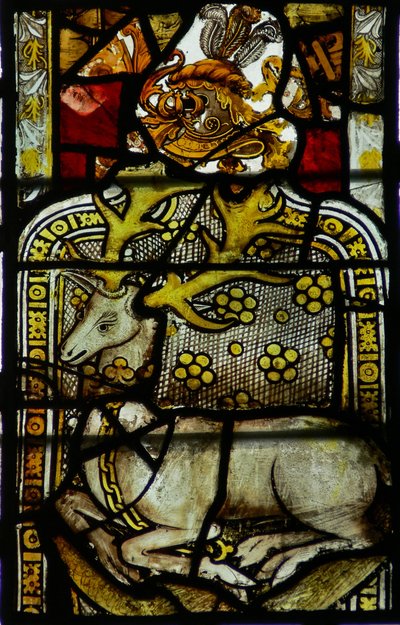 Window 11 depicting a chained deer by English School
