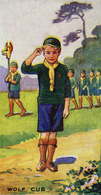 Wolf Cub by English School
