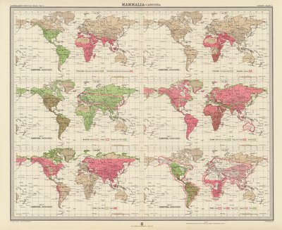 Zoogeography: Mammalia, Carnivora by English School