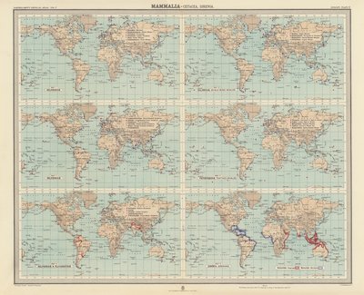 Zoogeography: Mammalia, Cetacea, Sirenia by English School