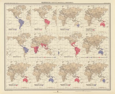 Zoogeography: Mammalia, Edentata, Marsupialia, Monotremata by English School