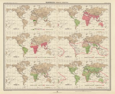 Zoogeography: Mammalia, Primates, Chiroptera by English School