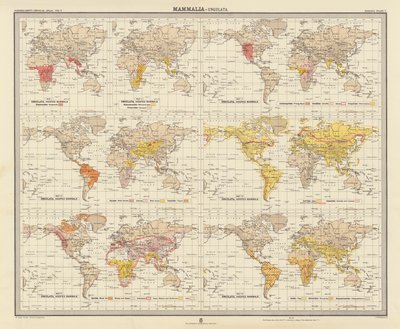 Zoogeography: Mammalia, Ungulata by English School