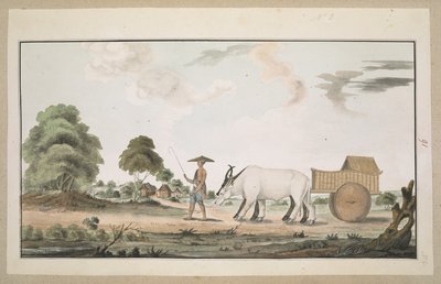 A bullock cart and driver by English School